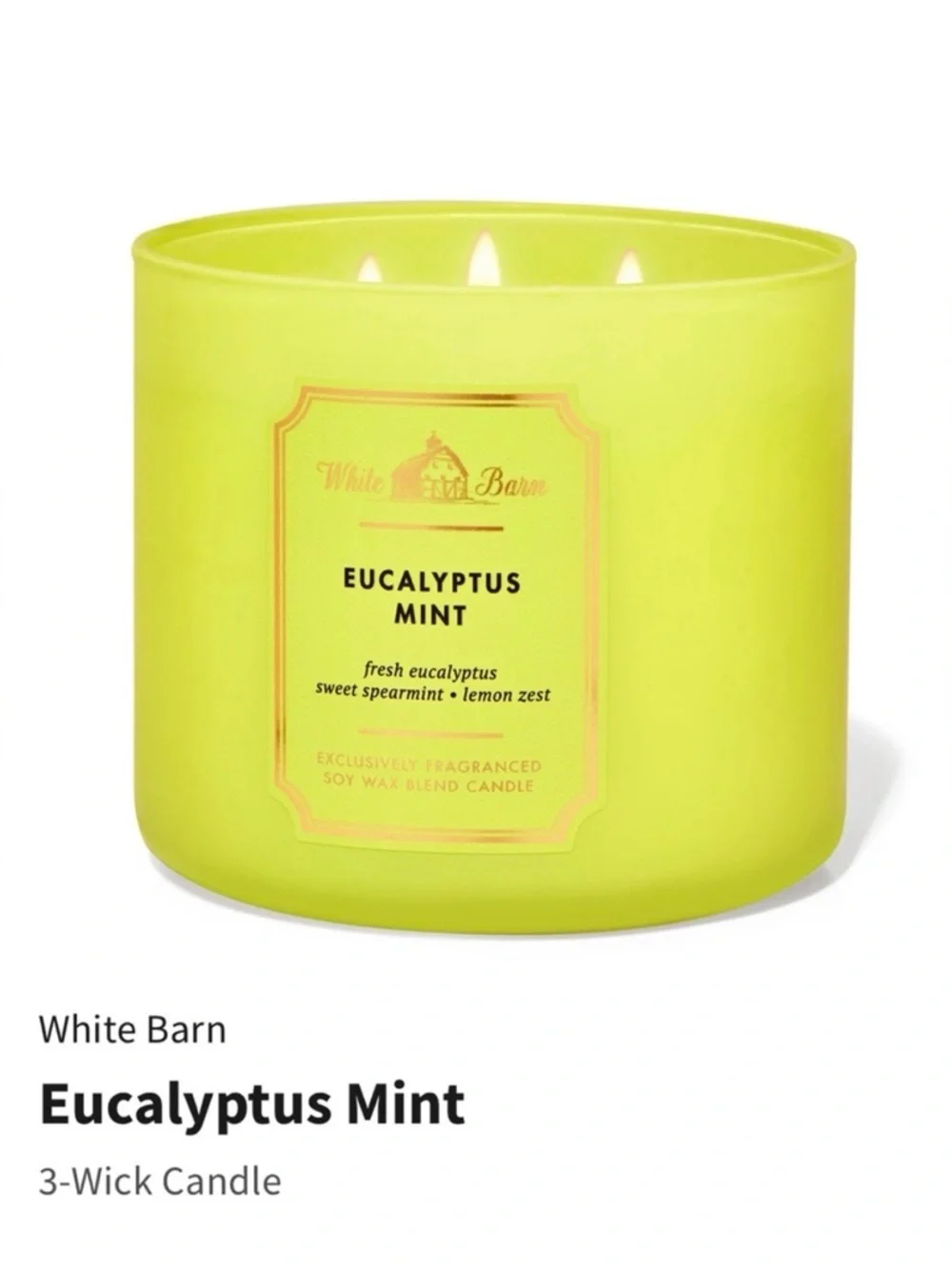 NIB White Barn “Eucalyptus Mint” 3-Wick Candle w Decorative Metal Lid